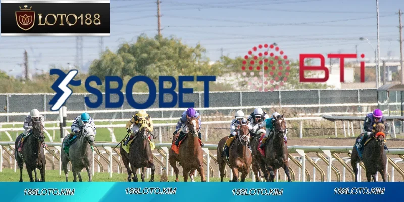 Sân chơi đẳng cấp - BTI & SBOBET dẫn đầu